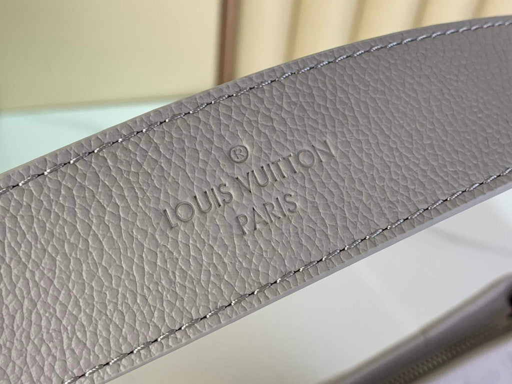 Louis Vuitton CarryAll PM Bag M12917 Gray Leather