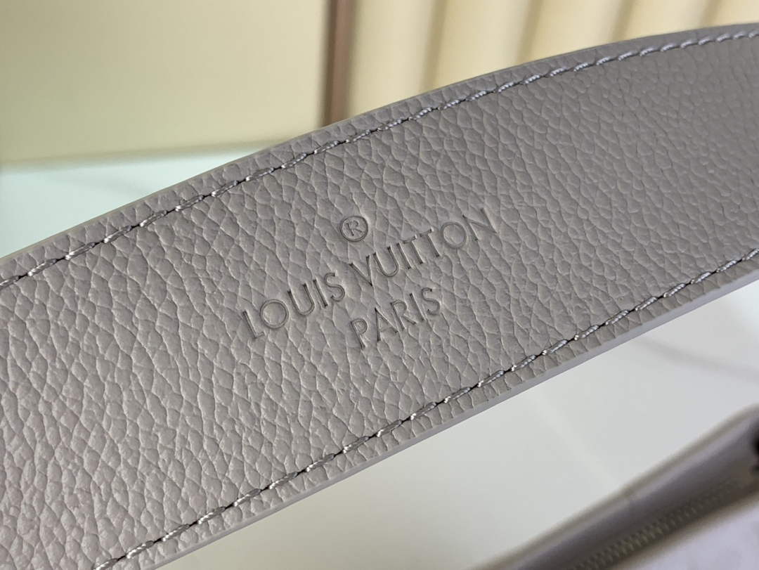 Louis Vuitton CarryAll PM Bag M12917 Gray Leather