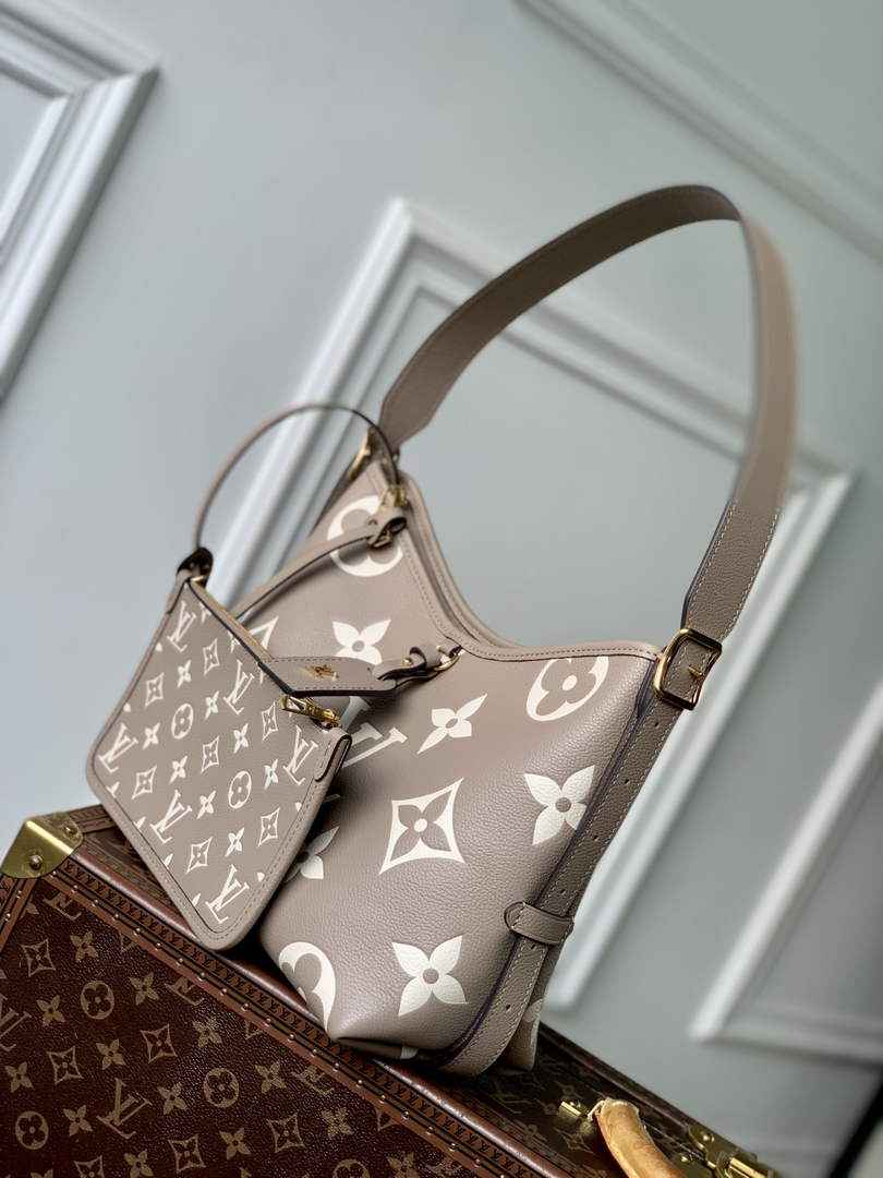 Louis Vuitton CarryAll PM Bag M47180 Gray Leather