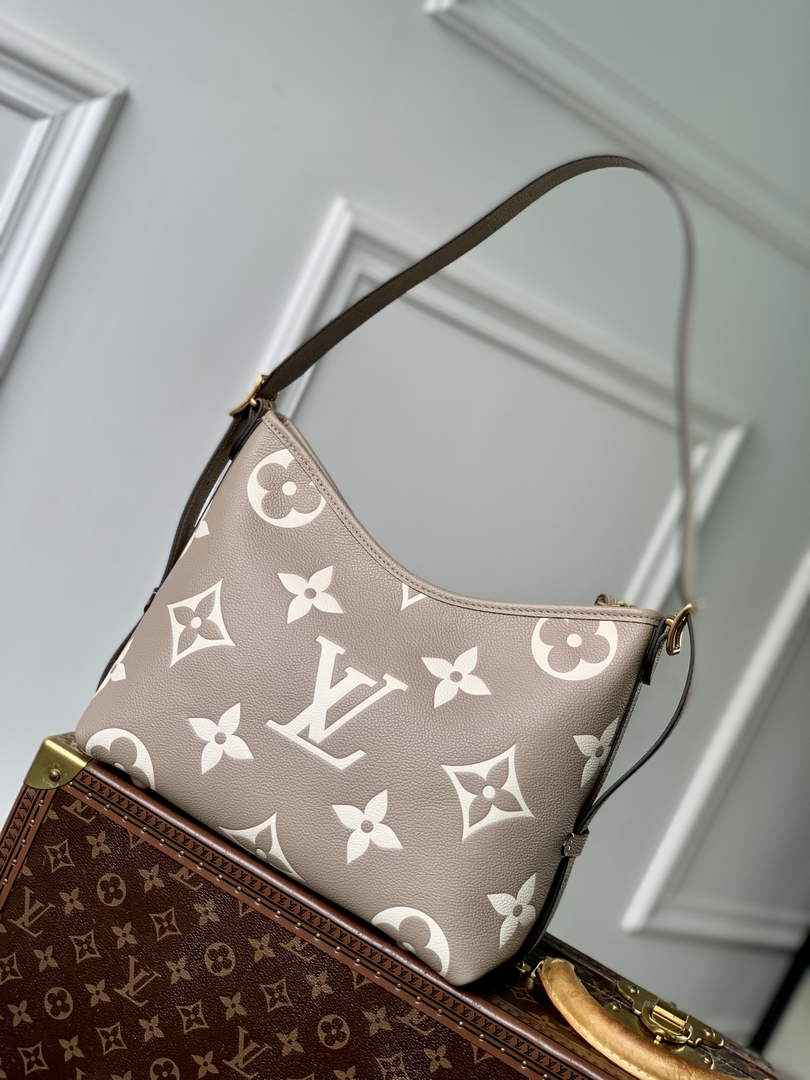 Louis Vuitton CarryAll PM Bag M47180 Gray Leather
