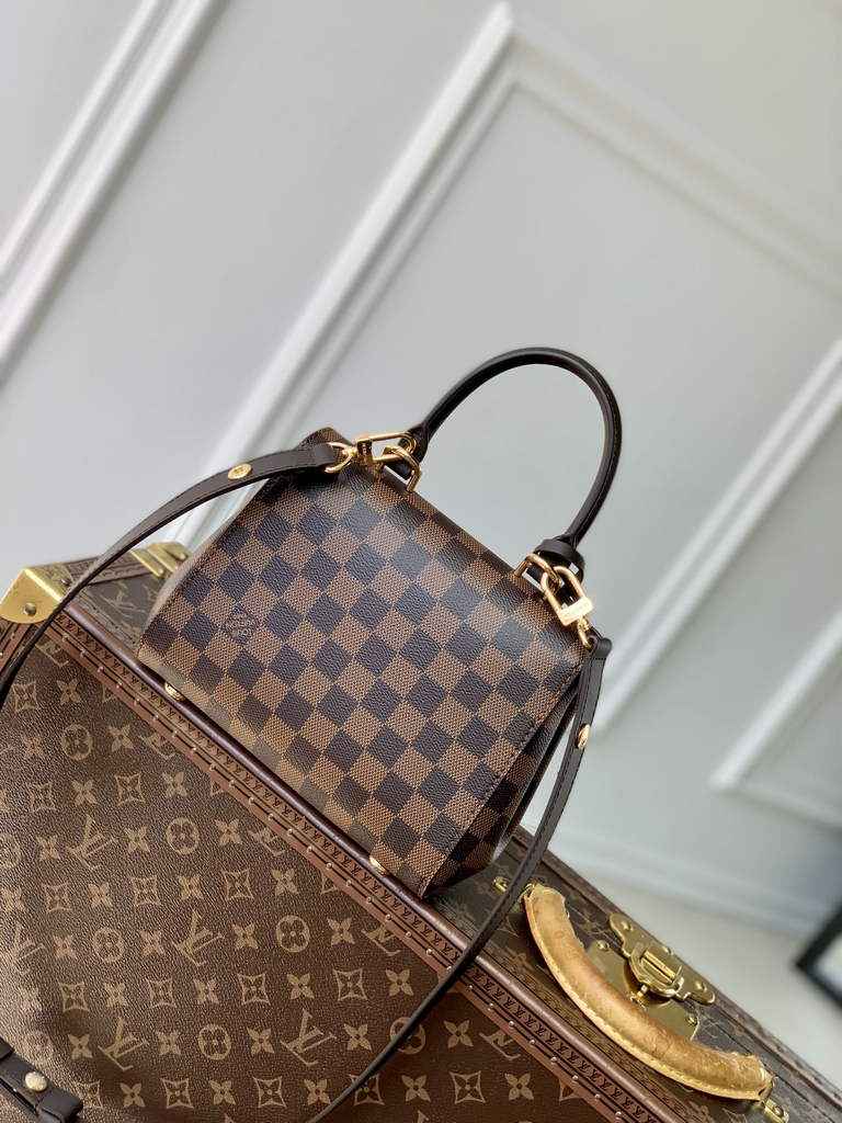 Louis Vuitton Cluny Mini Bag N00097 Brown