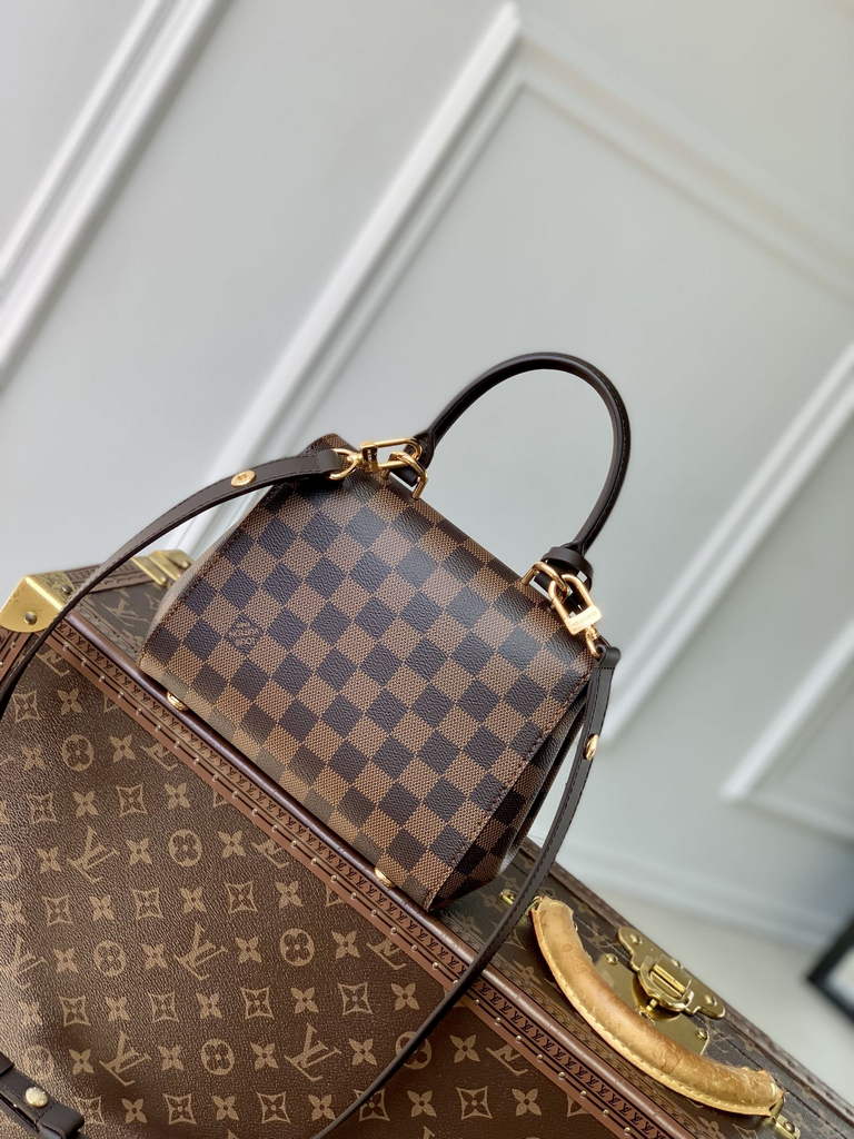 Louis Vuitton Cluny Mini Bag N00097 Brown - Default Title - View 3