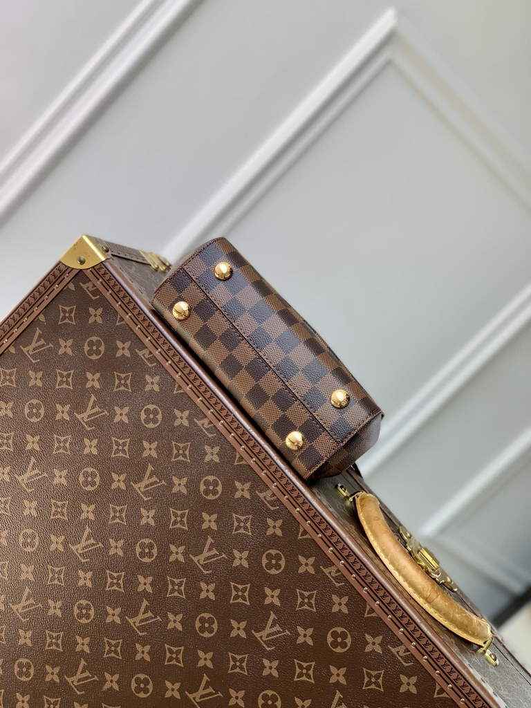 Louis Vuitton Cluny Mini Bag N00097 Brown