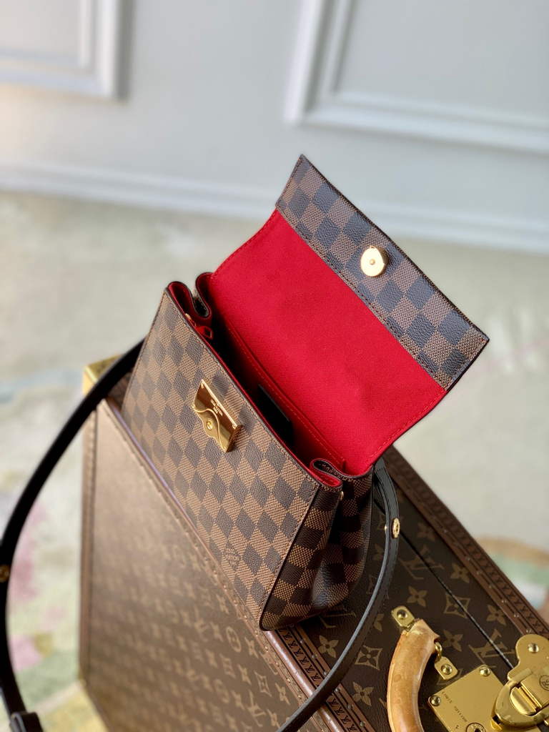 Louis Vuitton Cluny Mini Bag N00097 Brown - Default Title - View 5