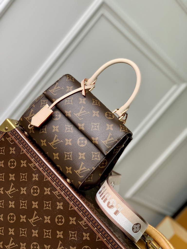 Louis Vuitton Cluny Mini Bag M46055 - Default Title - View 1