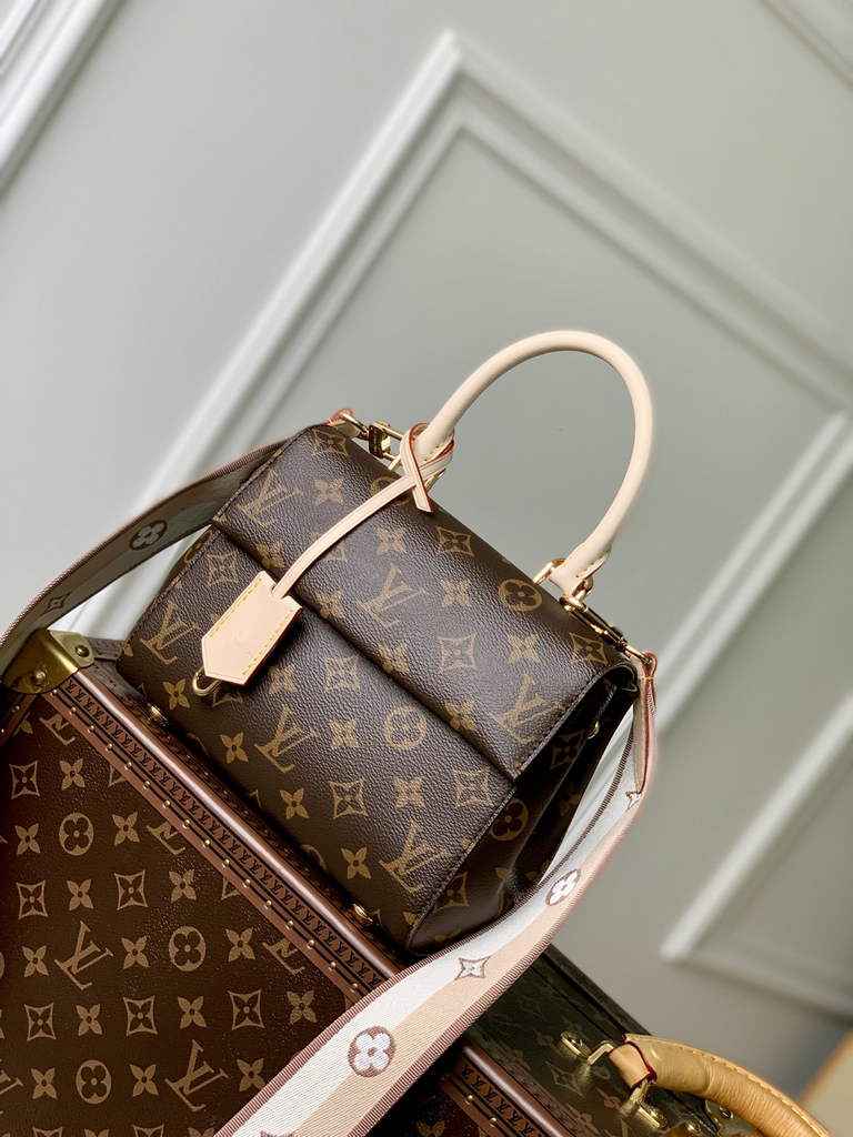 Louis Vuitton Cluny Mini Bag M46055