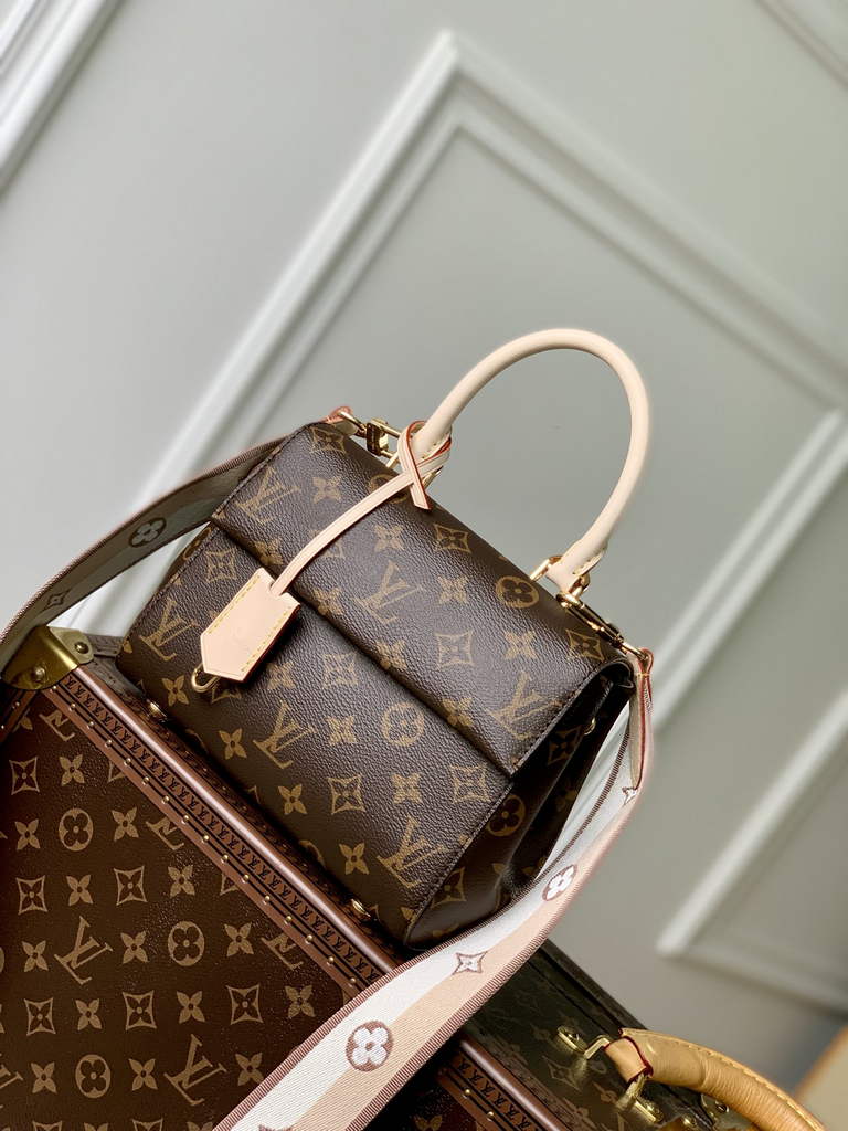 Louis Vuitton Cluny Mini Bag M46055 - Default Title - View 2