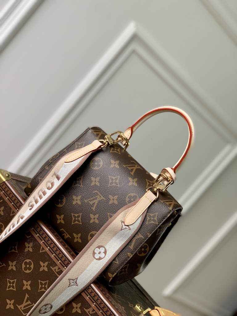 Louis Vuitton Cluny Mini Bag M46055