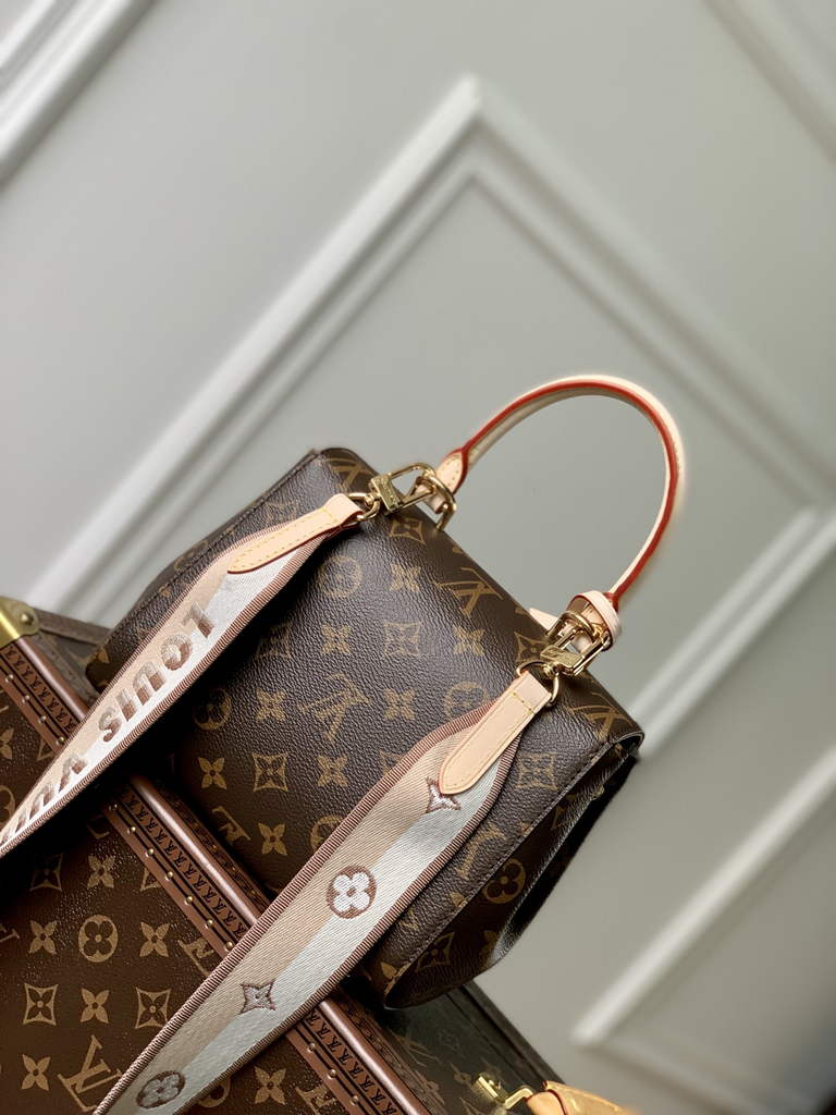 Louis Vuitton Cluny Mini Bag M46055 - Default Title - View 3