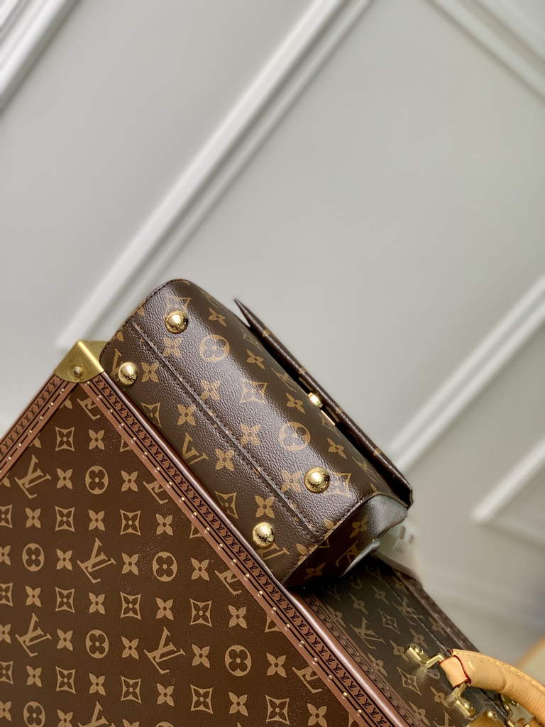 Louis Vuitton Cluny Mini Bag M46055 - Default Title - View 4