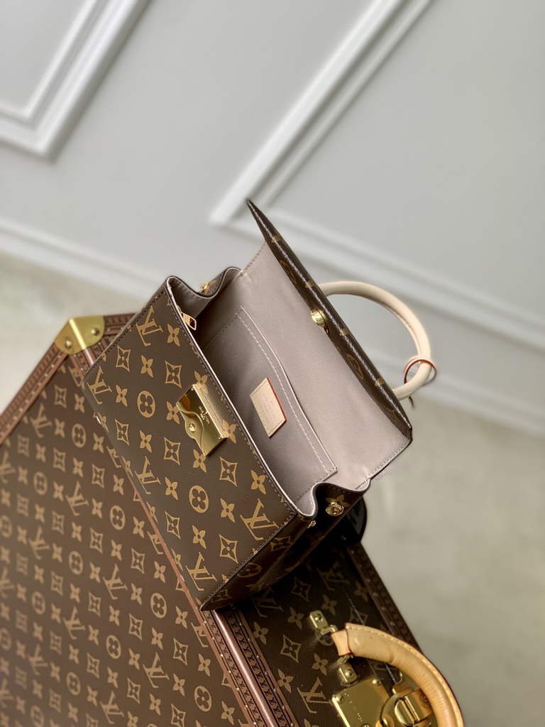 Louis Vuitton Cluny Mini Bag M46055 - Default Title - View 5