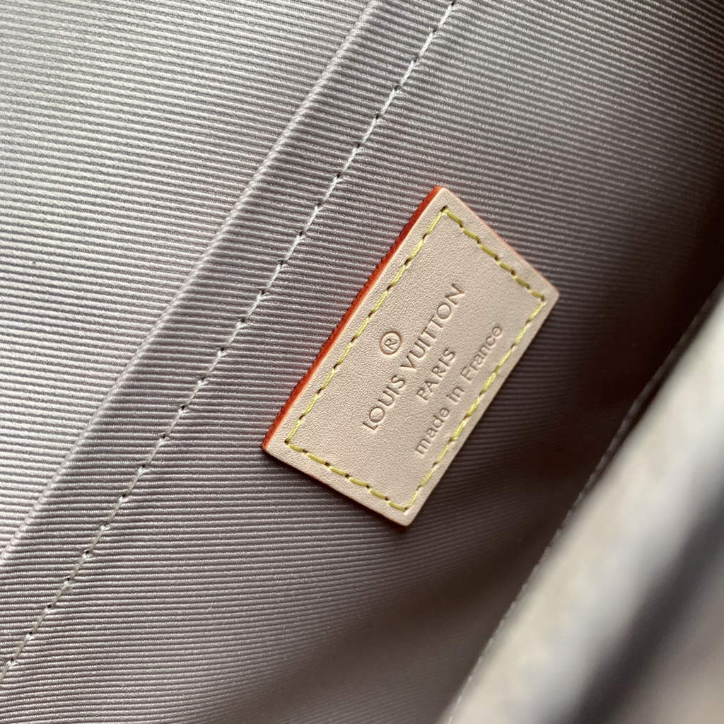 Louis Vuitton Cluny Mini Bag M46055 - Default Title - View 9