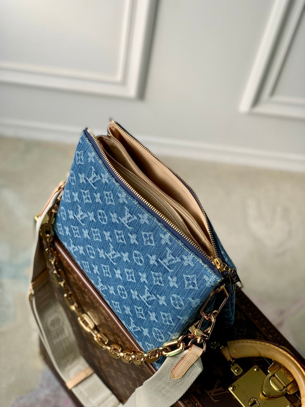 Louis Vuitton Coussin PM Bag M24564 - Default Title - View 5