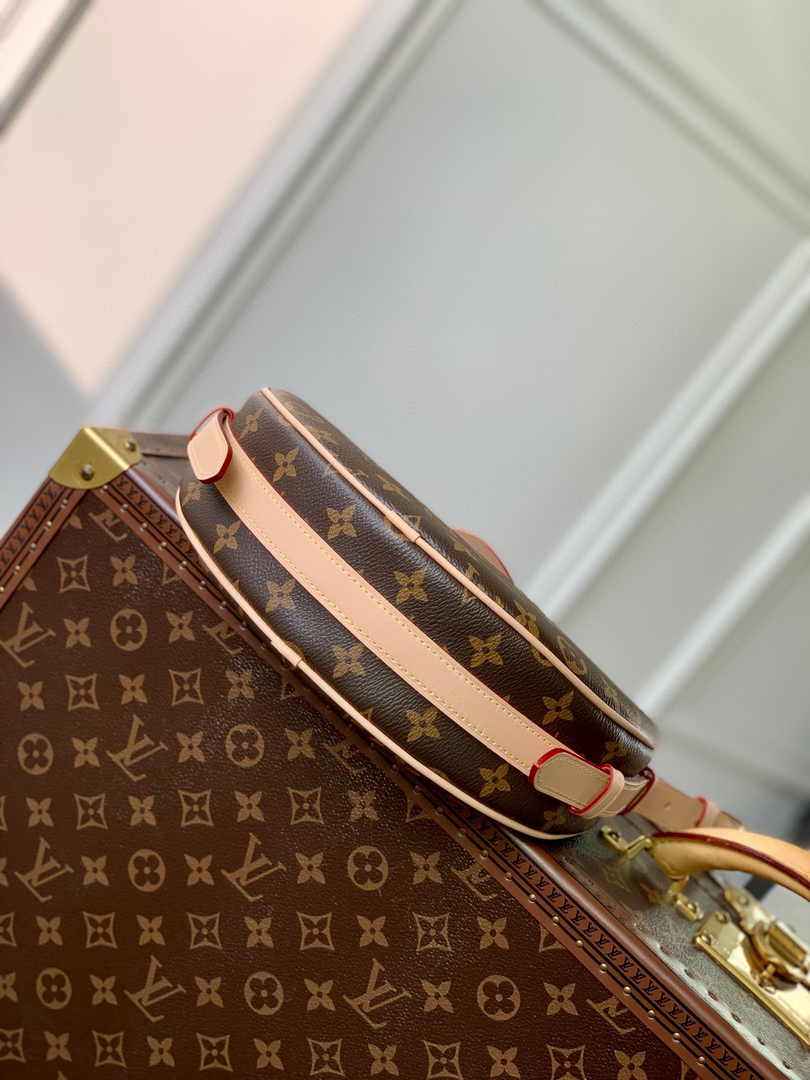Louis Vuitton Croissant MM Bag M46828 Monogram - Default Title - View 5