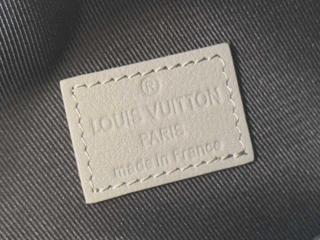 Louis Vuitton Duo Slingbag M21890 Gray Calf leather