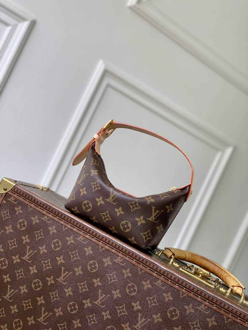 Louis Vuitton Hills Pochette Bag M27509