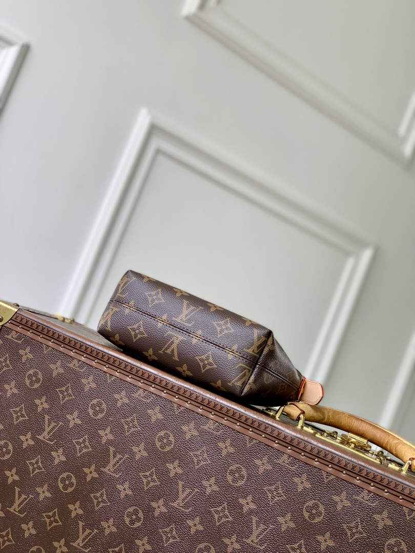 Louis Vuitton Hills Pochette Bag M27509