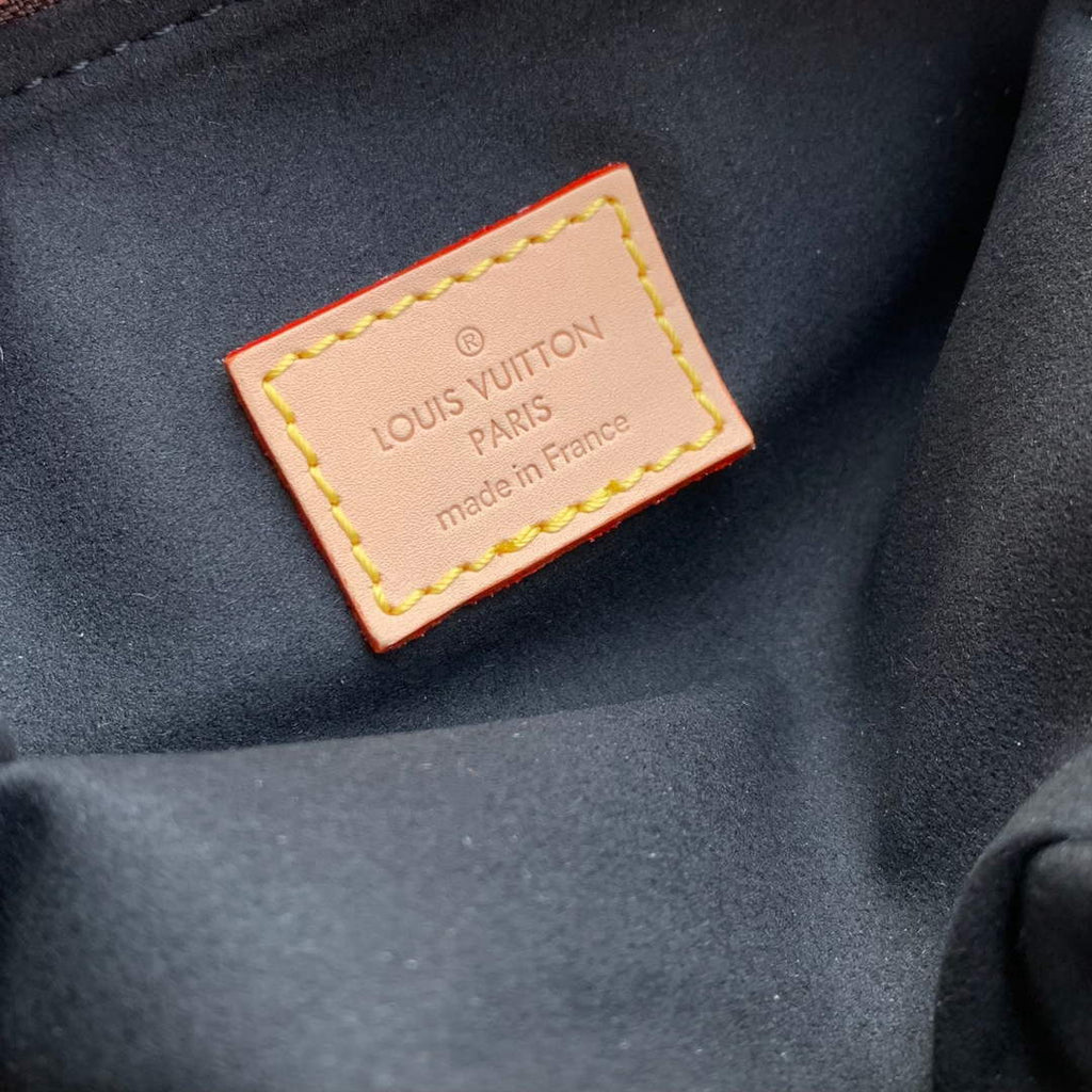 Louis Vuitton Hills Pochette Bag M27509