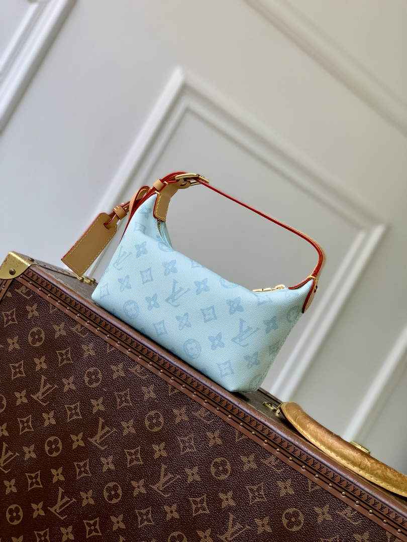 Louis Vuitton Hills Pochette Bag M28250