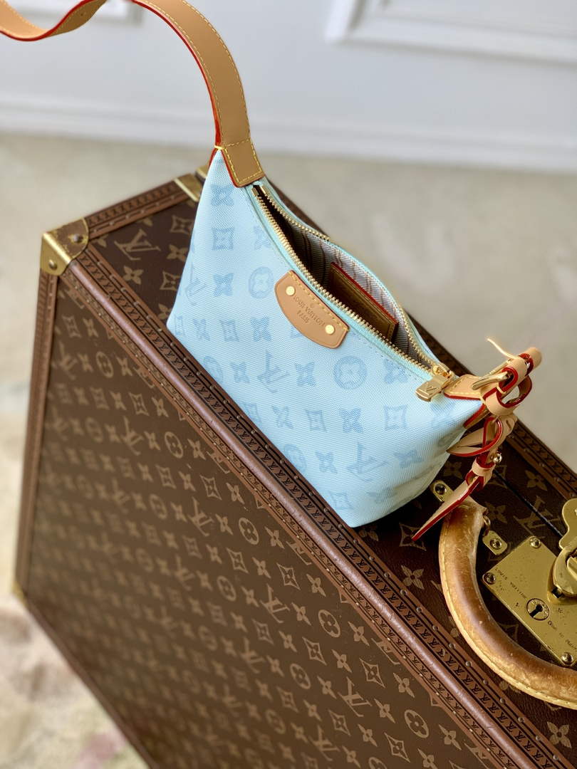 Louis Vuitton Hills Pochette Bag M28250