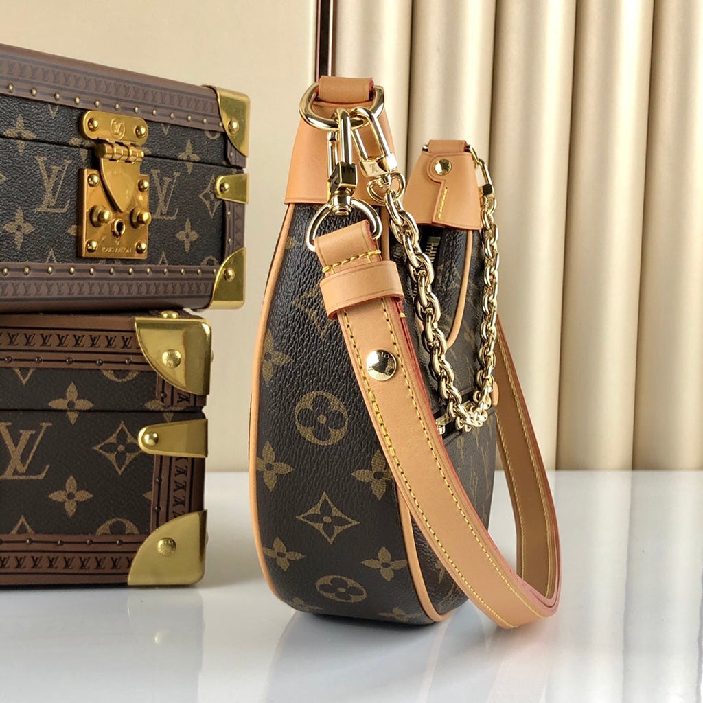 Louis Vuitton Loop Bag M81098 Monogram Canvas - Default Title - View 3