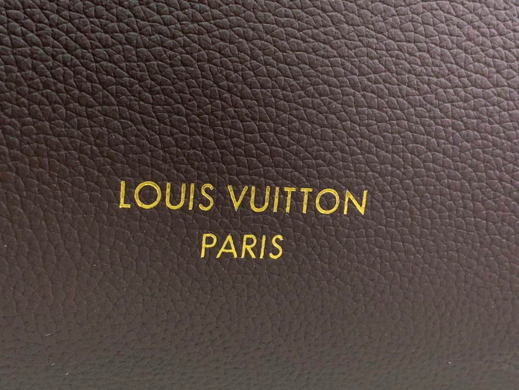 Louis Vuitton Low Key Cabas MM Bag M12916 Brown Smooth calf leather