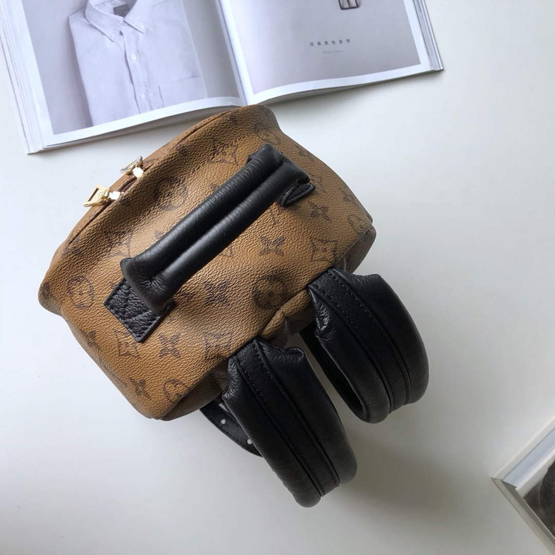 Louis Vuitton LV M41560 Palm Springs PM Monogram Canvas