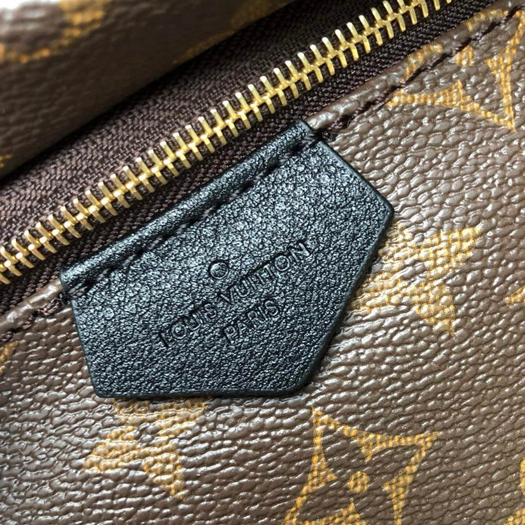 Louis Vuitton LV M41560 Palm Springs PM Monogram Canvas