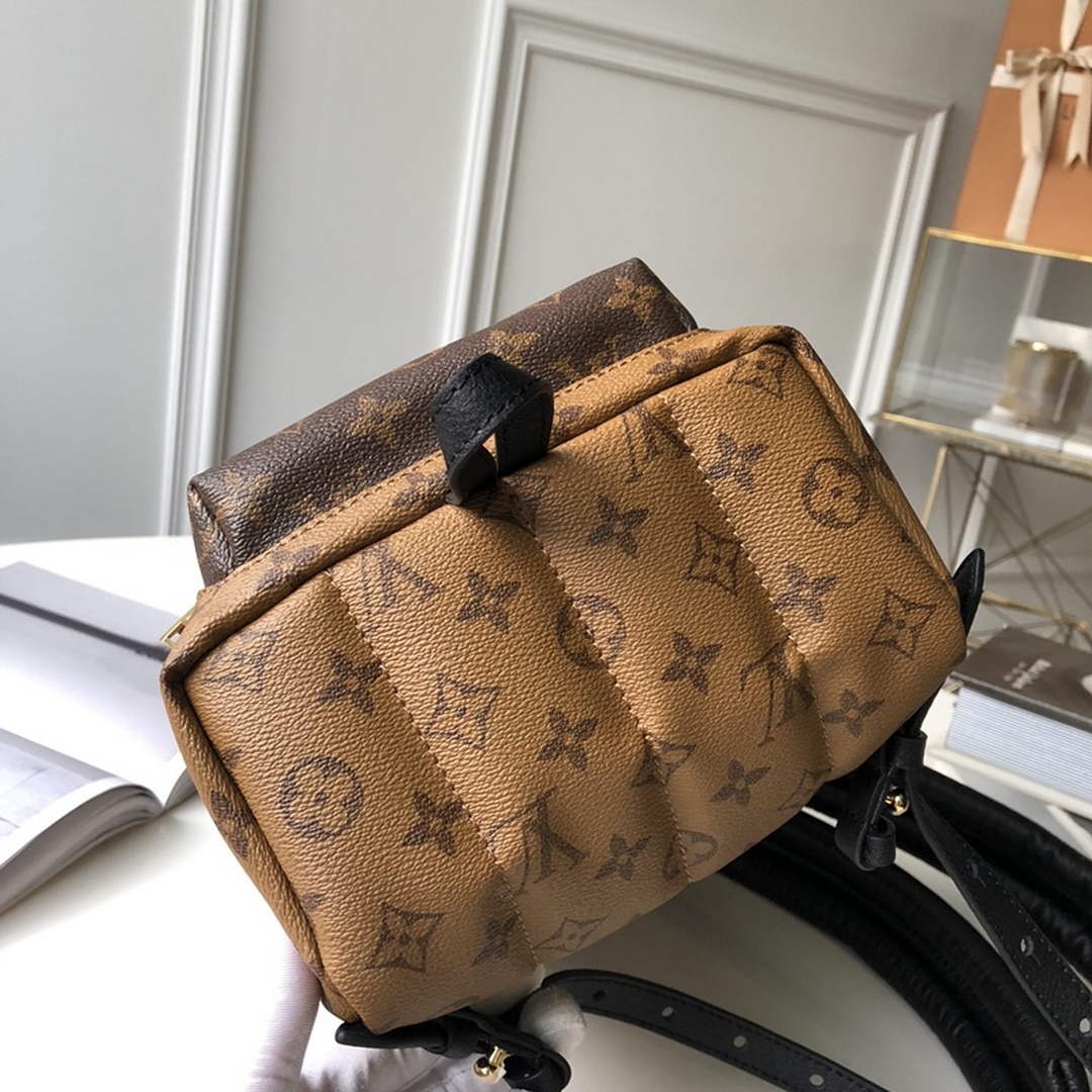 Louis Vuitton LV M41560 Palm Springs PM Monogram Canvas