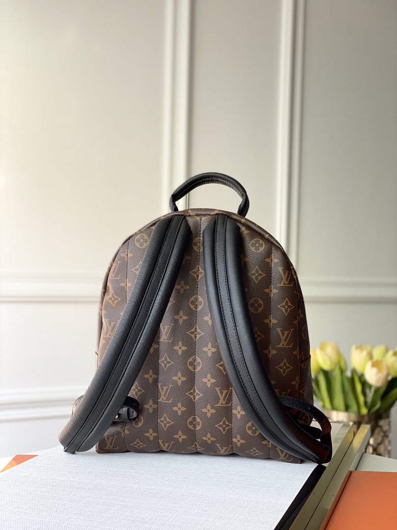 Louis Vuitton LV M41561 Palm Springs MM Monogram Canvas