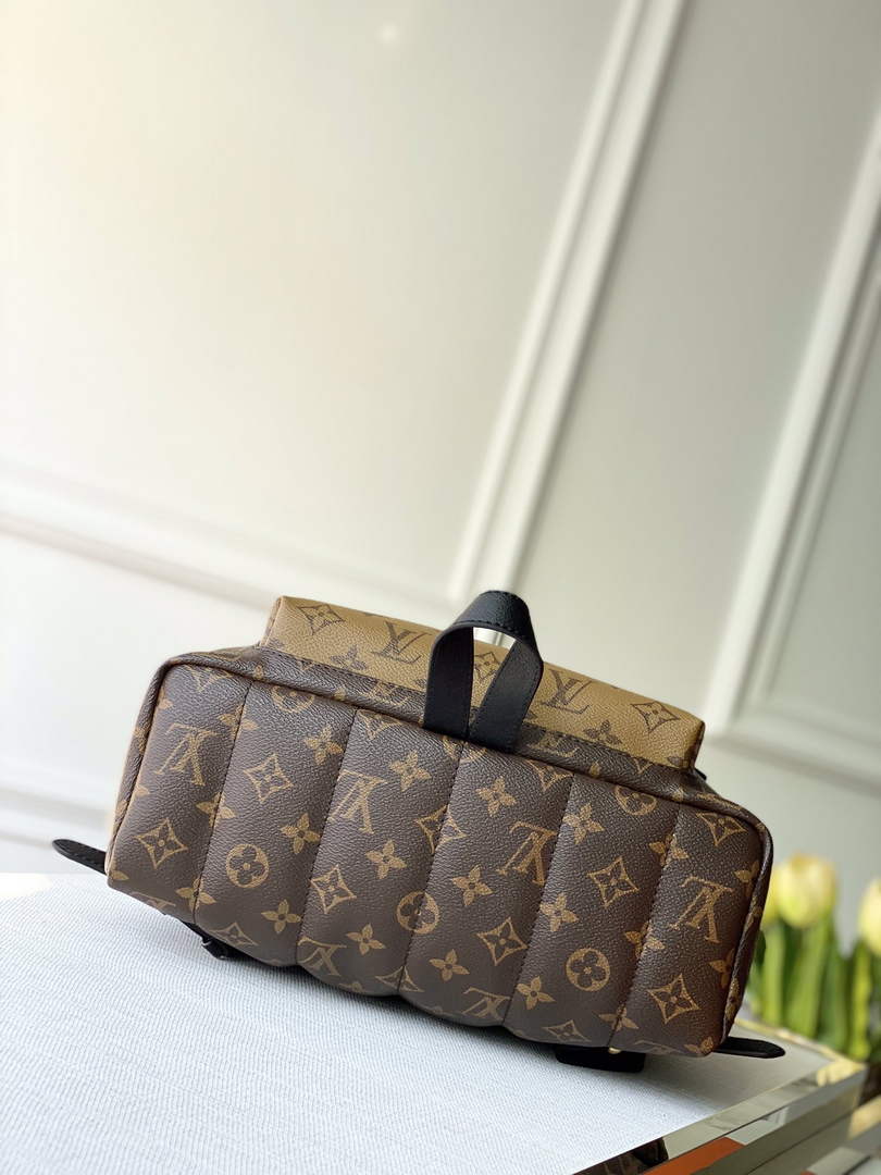 Louis Vuitton LV M41561 Palm Springs MM Monogram Canvas