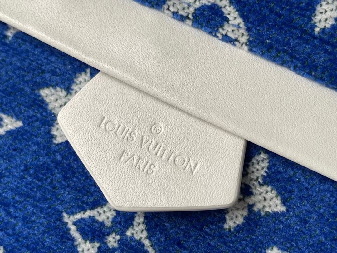 Louis Vuitton LV M46207 Palm Springs Mini Monogram Blue