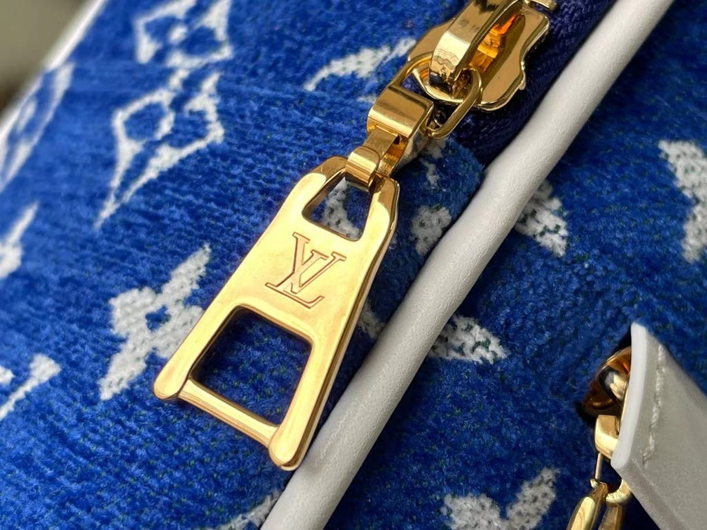 Louis Vuitton LV M46207 Palm Springs Mini Monogram Blue