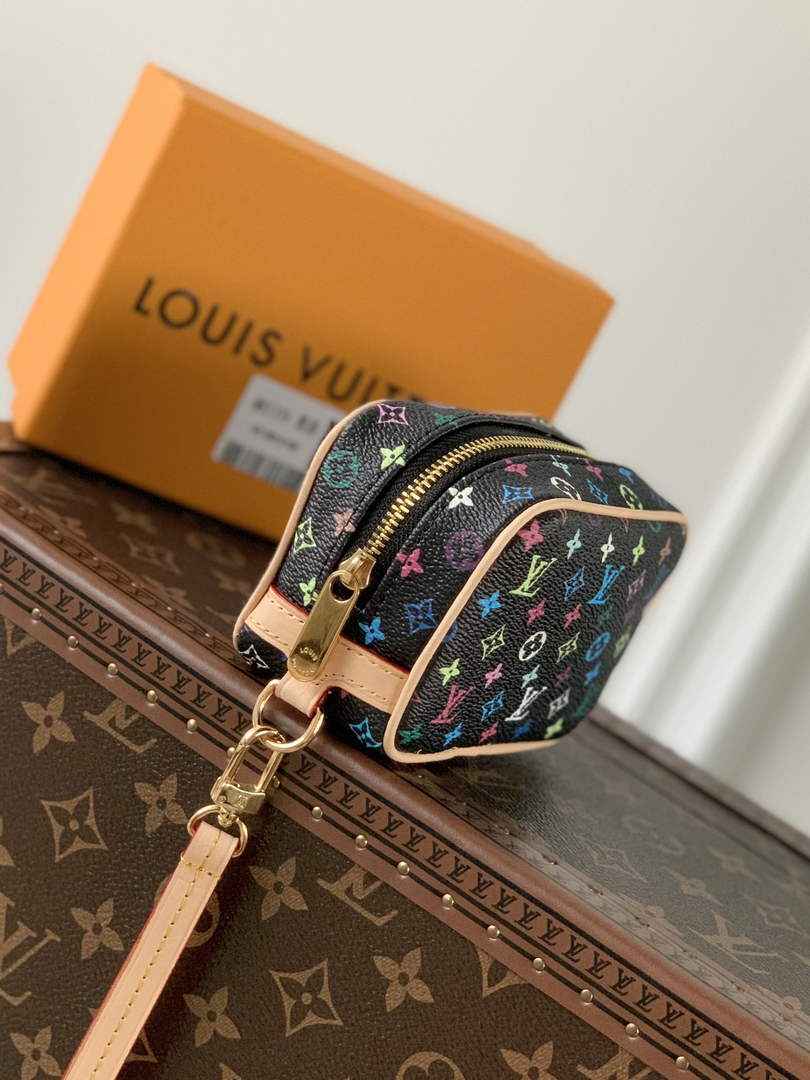 Louis Vuitton LV M81339 Wapity Case Monogram canvas black