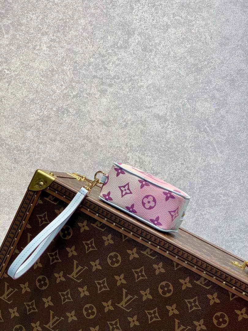 Louis Vuitton LV M81339 Wapity Case Monogram coated canvas