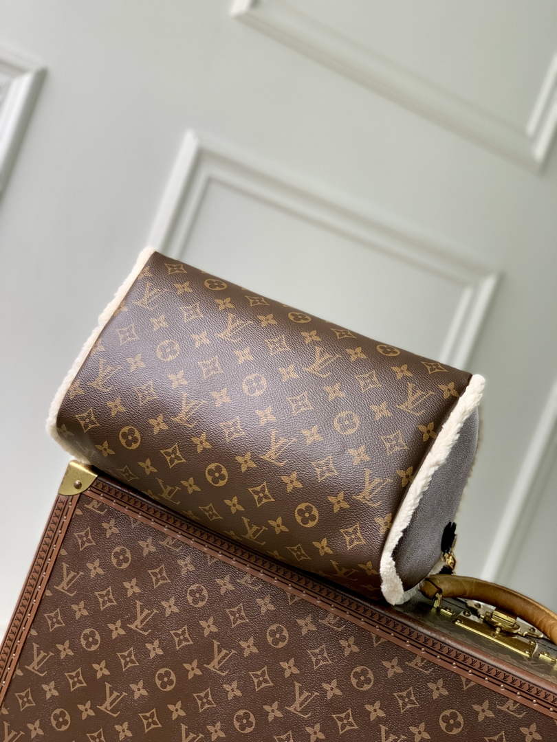 Louis Vuitton LV Ski Speedy Soft 30 Teddy Bag M26326