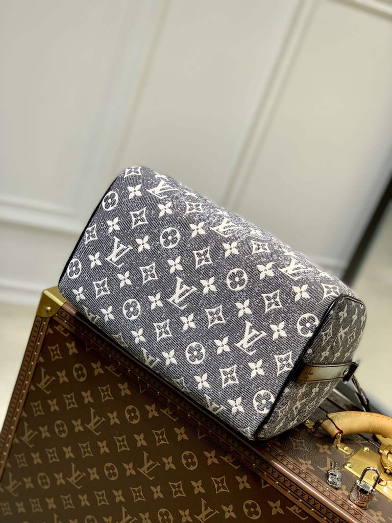 Louis Vuitton M21464 Speedy Bandoulière 25 Gray
