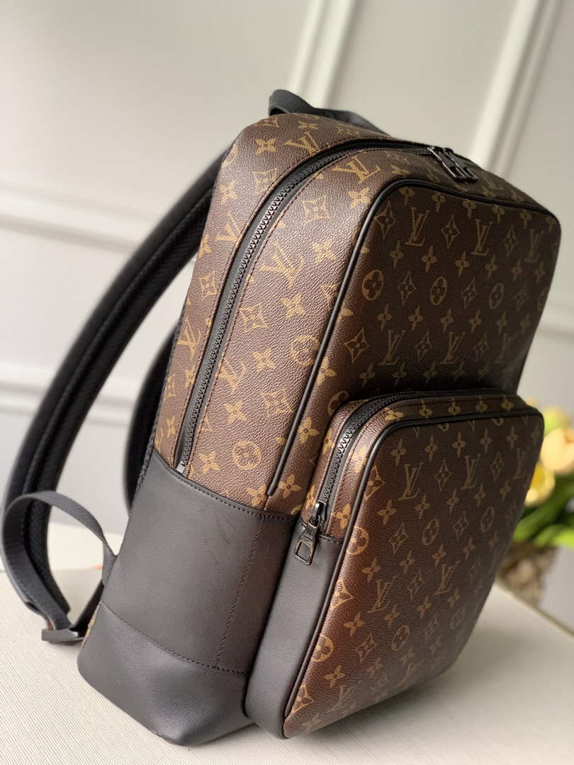 Louis Vuitton M45335 Dean backpack Monogram