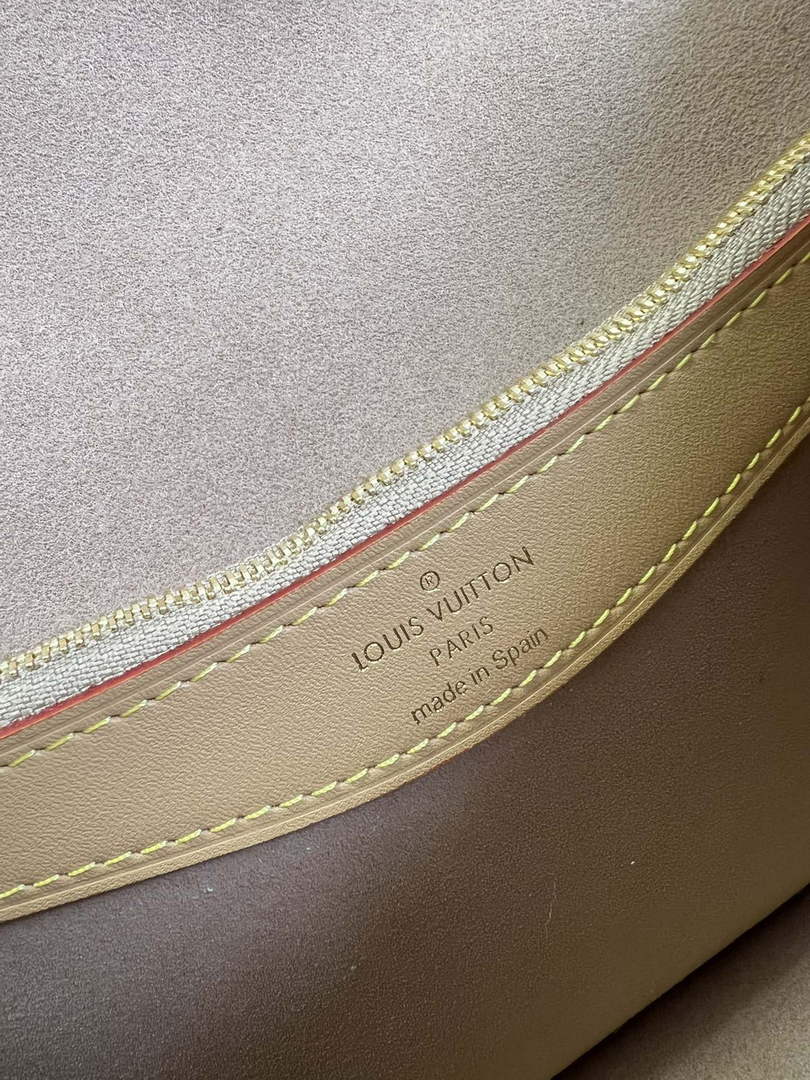 Louis Vuitton M46317 Diane Monogram Canvas - 24 x 15 x 9 cm / Monogram Canvas - View 9