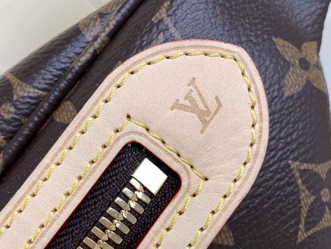 Louis Vuitton M46784 High Rise Bumbag Monogram coated canvas