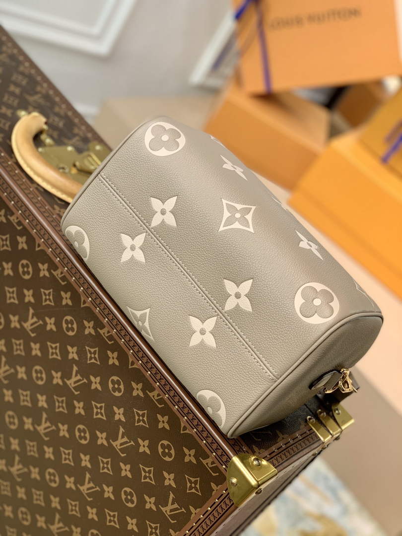 Louis Vuitton M58947 Speedy Bandoulière 25 Gray