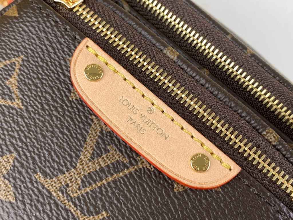 Louis Vuitton Mini Bumbag Monogram M82335