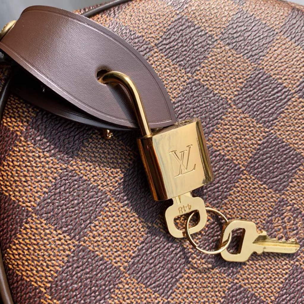 Louis Vuitton N41365 Speedy 25 Damier Ebene canvas