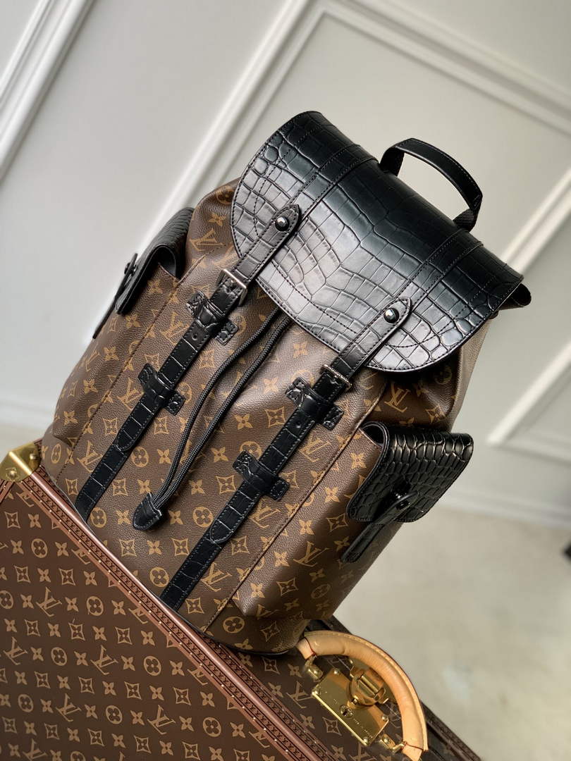 Louis Vuitton N93489 Christopher Backpack PM Monogram canvas body