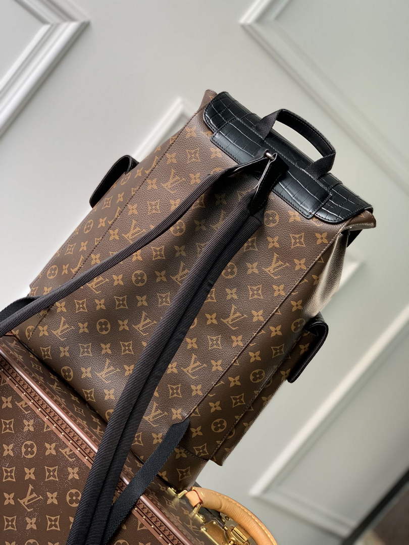 Louis Vuitton N93489 Christopher Backpack PM Monogram canvas body