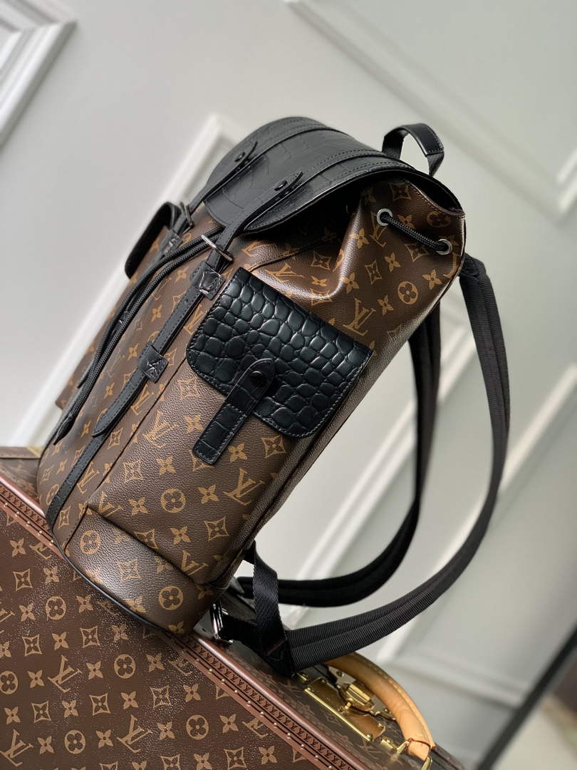 Louis Vuitton N93489 Christopher Backpack PM Monogram canvas body