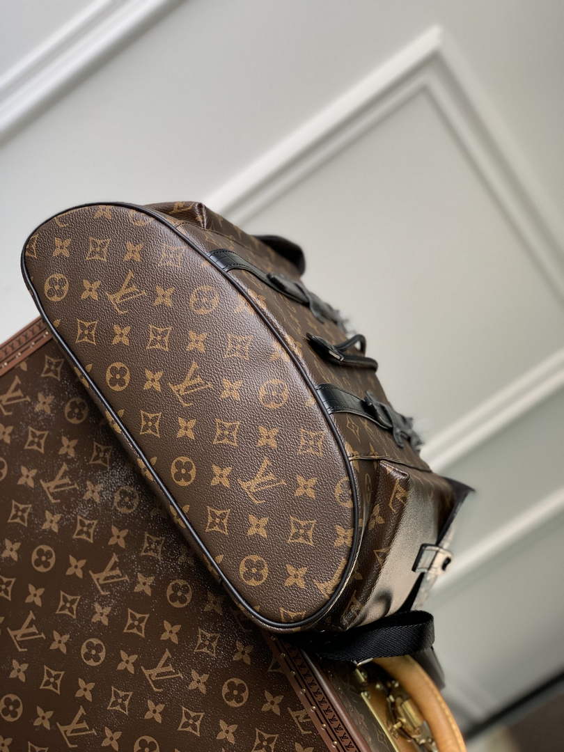 Louis Vuitton N93489 Christopher Backpack PM Monogram canvas body