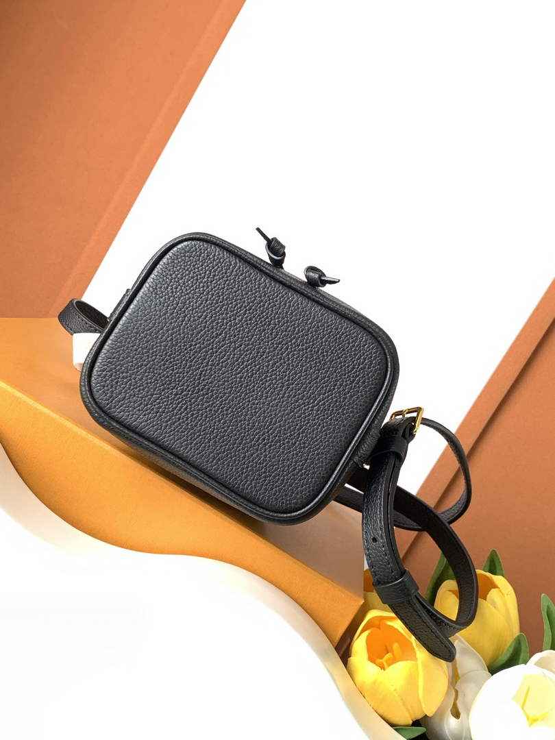 Louis Vuitton Nano Noé Bag M46291 Black Leather