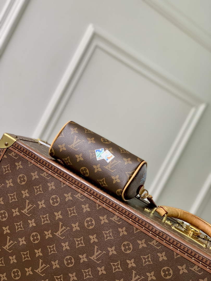 Louis Vuitton Nano Speedy Bag M15330 Monogram Snowy Pearl