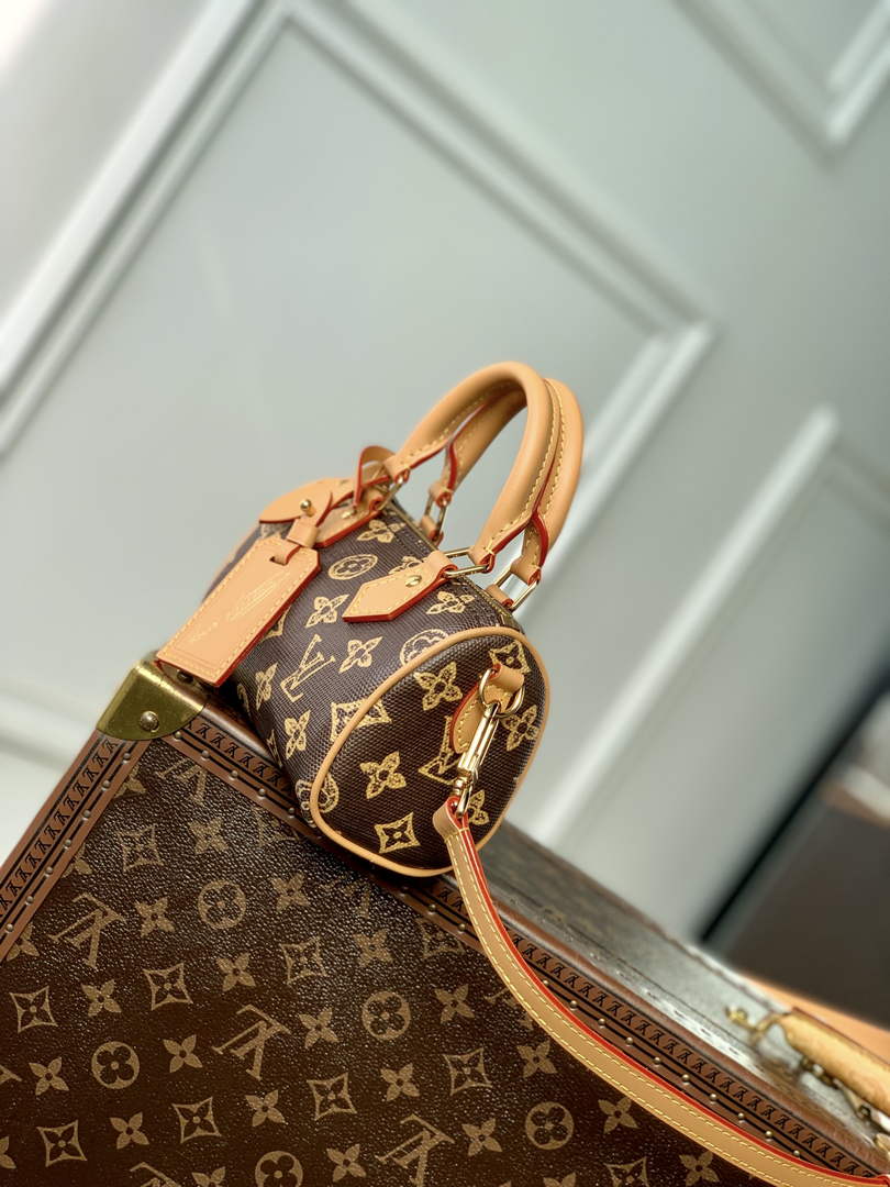 Louis Vuitton Nano Speedy Bag M27610 Monogram Brown